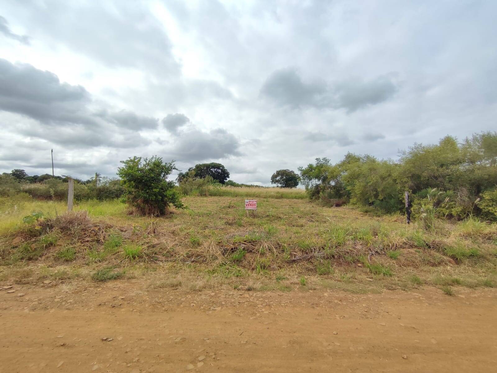 #1987 - Terreno para Venda em Siqueira Campos - PR