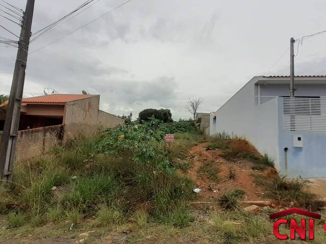 Terreno para Venda em Siqueira Campos - 2