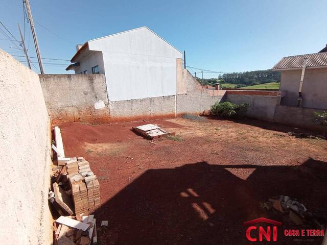 Terreno para Venda em Siqueira Campos - 3