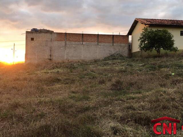Terreno para Venda em Siqueira Campos - 2