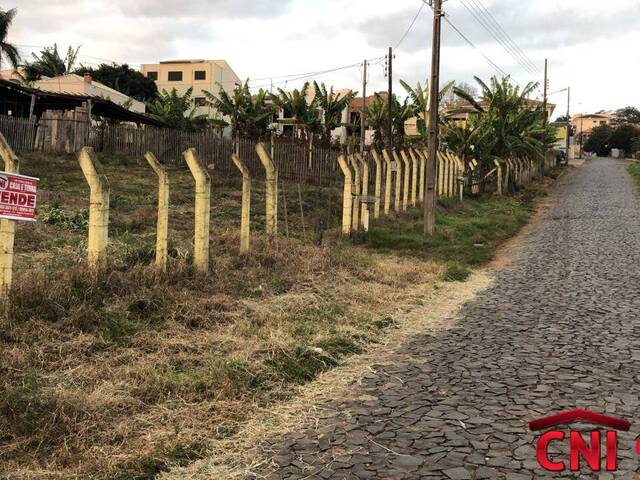Terreno para Venda em Siqueira Campos - 3