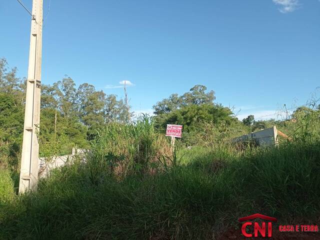 #2419 - Terreno para Venda em Siqueira Campos - PR - 2