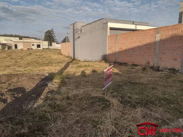 #2564 - Terreno para Venda em Quatiguá - PR