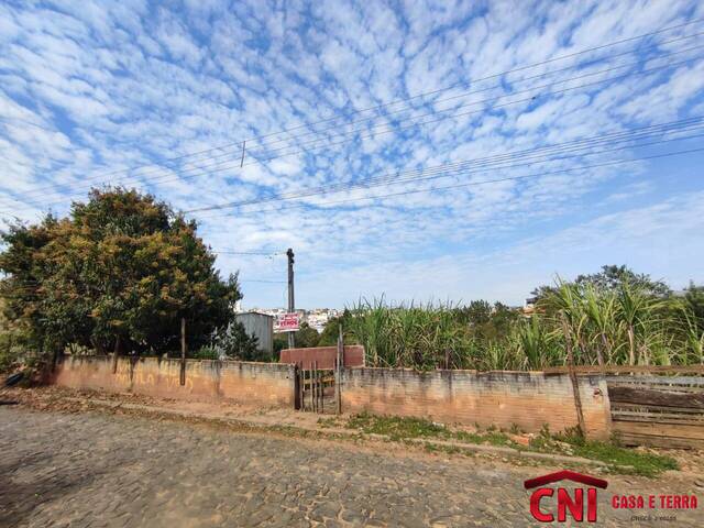 Terreno para Venda em Siqueira Campos - 5