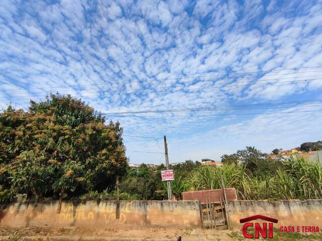 Terreno para Venda em Siqueira Campos - 4