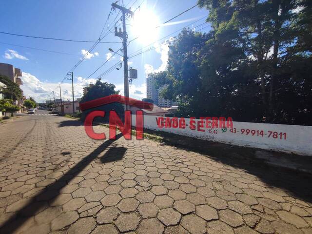 Terreno para Venda em Siqueira Campos - 4