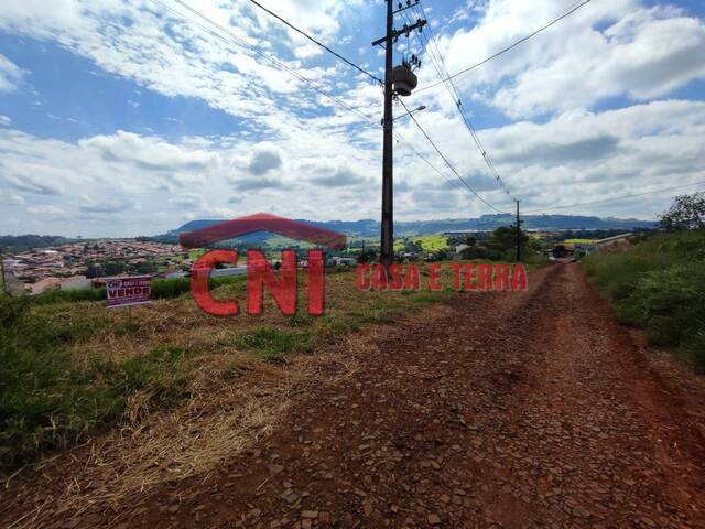 Terreno para Venda em Siqueira Campos - 4