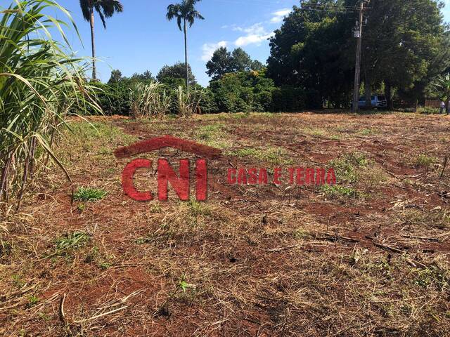 Terreno para Venda em Siqueira Campos - 5