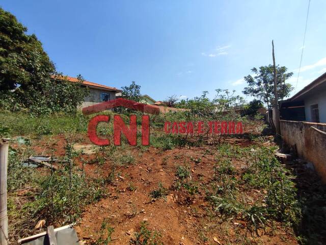 Terreno para Venda em Siqueira Campos - 4