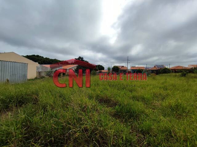 Terreno para Venda em Siqueira Campos - 4