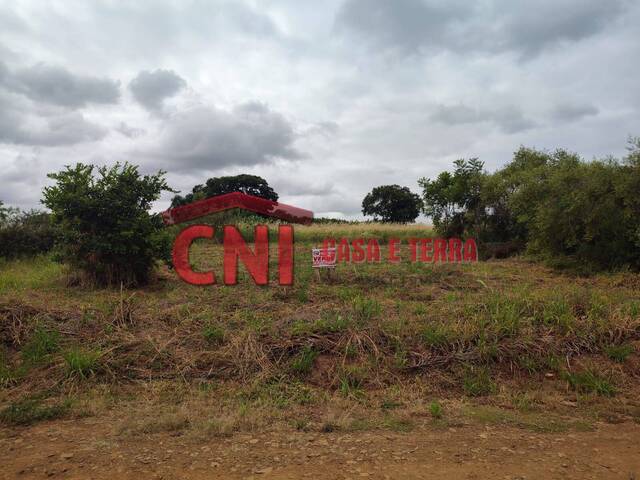 Terreno para Venda em Siqueira Campos - 5