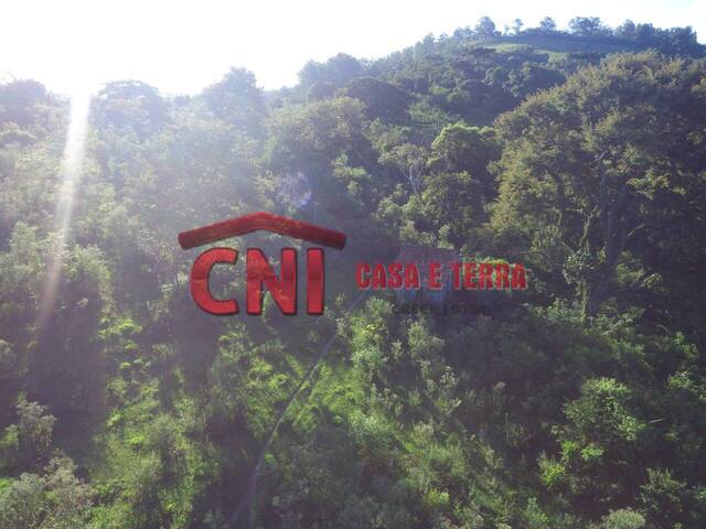 Chácara para Venda em Siqueira Campos - 4