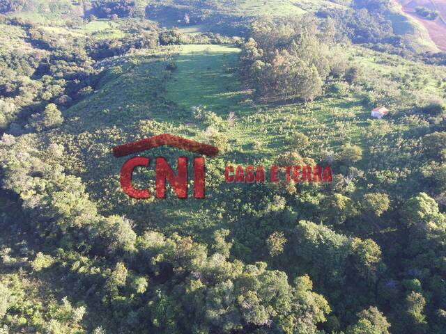 Chácara para Venda em Siqueira Campos - 5