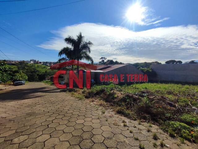 Terreno para Venda em Siqueira Campos - 4