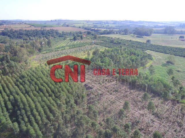 Chácara para Venda em Carlópolis - 5
