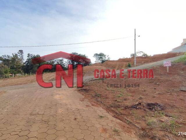 Terreno para Venda em Siqueira Campos - 4