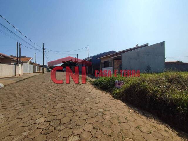Terreno para Venda em Siqueira Campos - 4