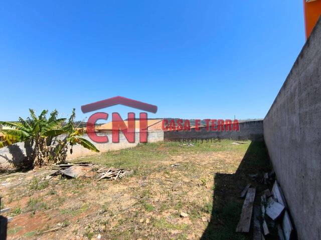 Terreno para Venda em Siqueira Campos - 4