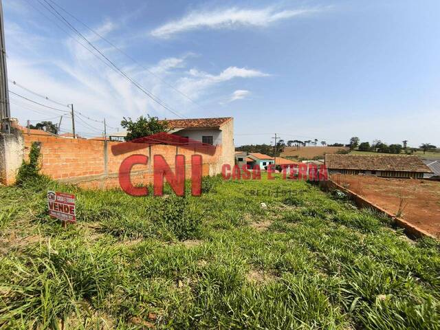 Terreno para Venda em Siqueira Campos - 4