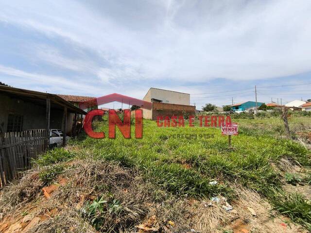 Terreno para Venda em Siqueira Campos - 4