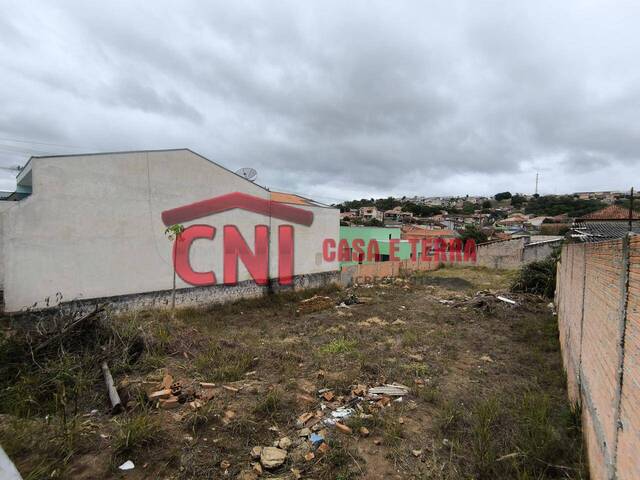 Terreno para Venda em Siqueira Campos - 5