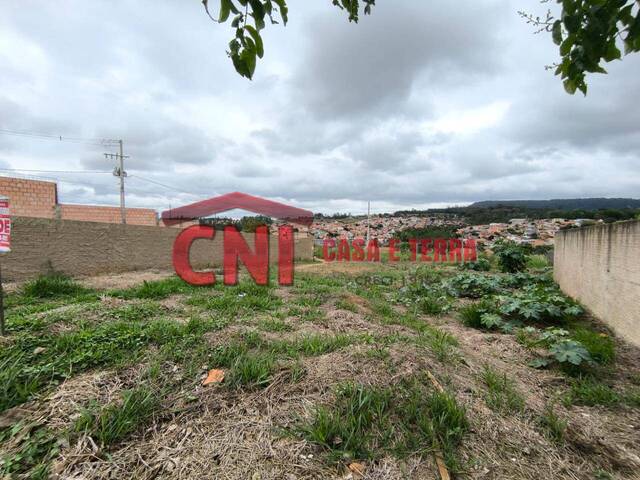 Terreno para Venda em Siqueira Campos - 4
