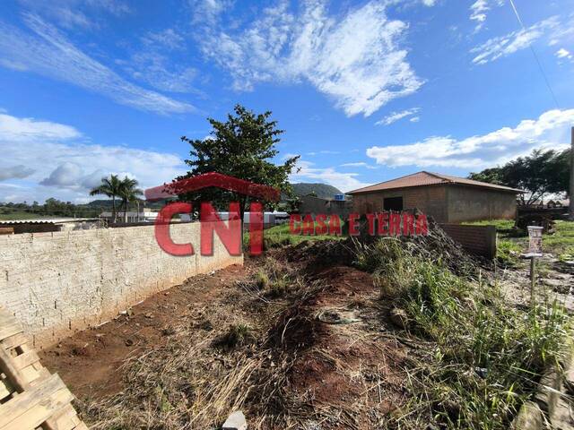 Terreno para Venda em Siqueira Campos - 4