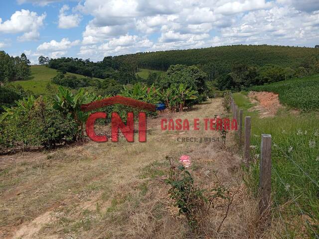 #3698 - Chácara para Venda em Wenceslau Braz - PR