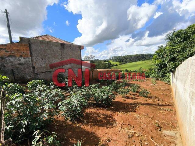 Terreno para Venda em Siqueira Campos - 4