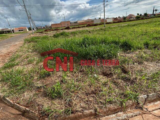 #3744 - Terreno para Venda em Carlópolis - PR - 3