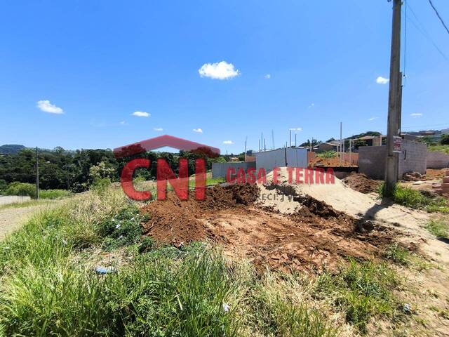 Terreno para Venda em Siqueira Campos - 4