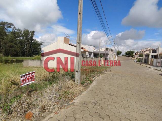 #3778 - Terreno para Venda em Quatiguá - PR - 3