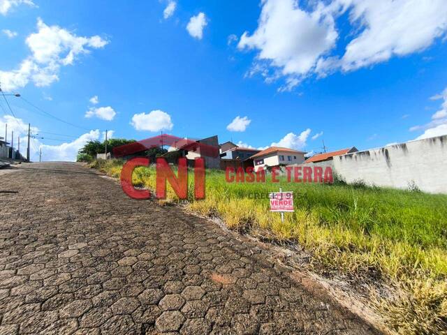 Terreno para Venda em Siqueira Campos - 4