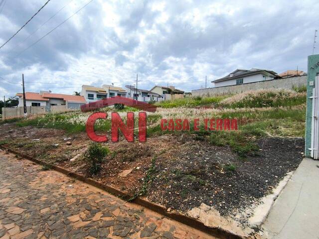 Terreno para Venda em Siqueira Campos - 4