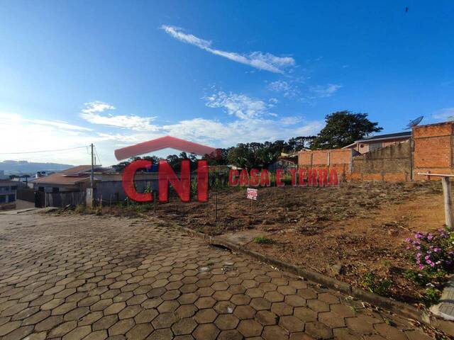 #3854 - Terreno para Venda em Siqueira Campos - PR - 2