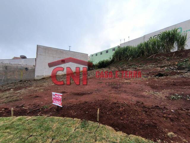 Terreno para Venda em Siqueira Campos - 4