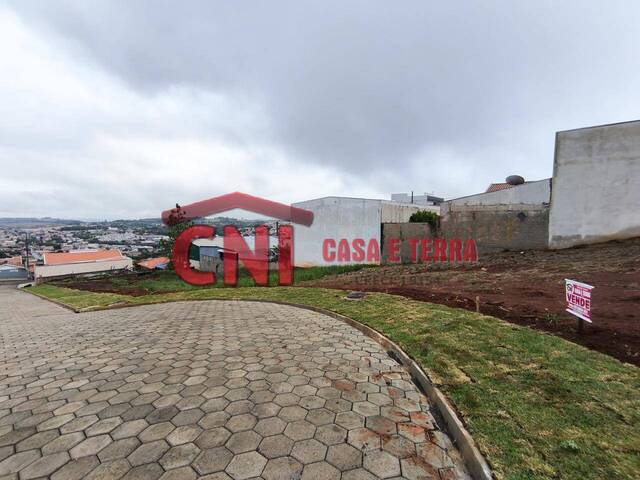 #3860 - Terreno para Venda em Siqueira Campos - PR - 3
