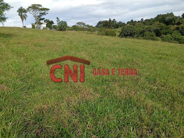 #3879 - Sítio para Venda em Wenceslau Braz - PR - 1