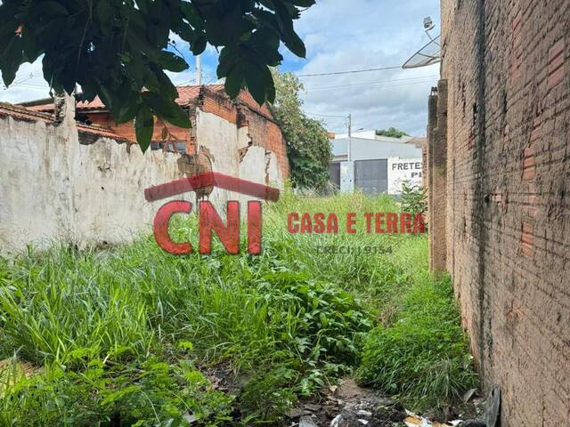 #3914 - Terreno para Venda em Londrina - PR - 3