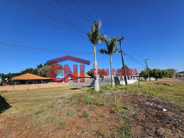 #3911 - Terreno para Venda em Siqueira Campos - PR - 2