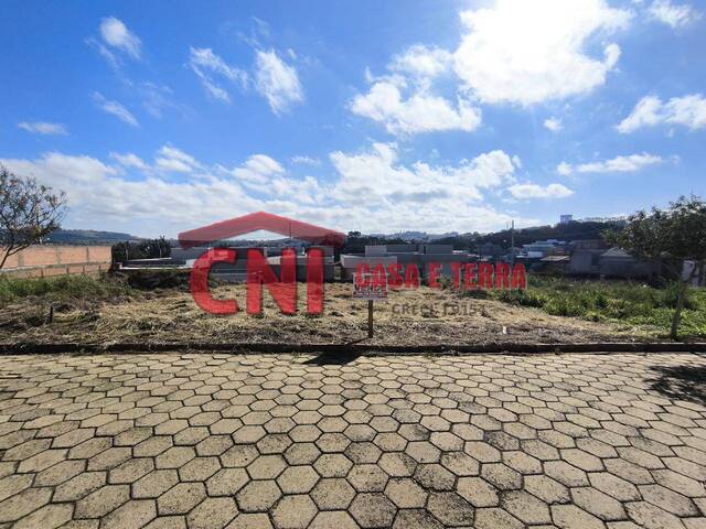 #3922 - Terreno para Venda em Siqueira Campos - PR - 1