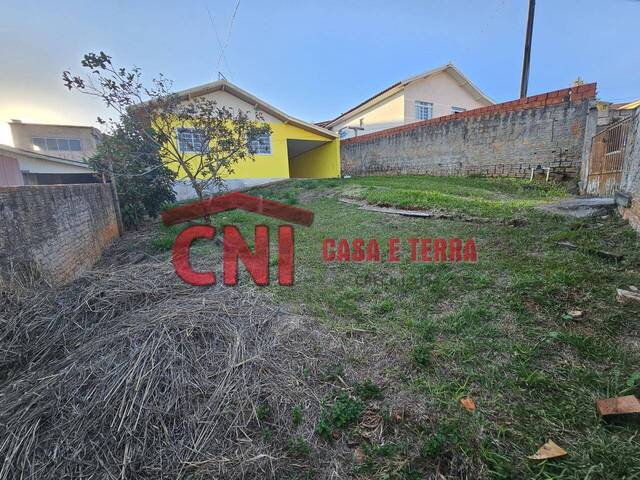 Casa para Locação em Siqueira Campos - 4