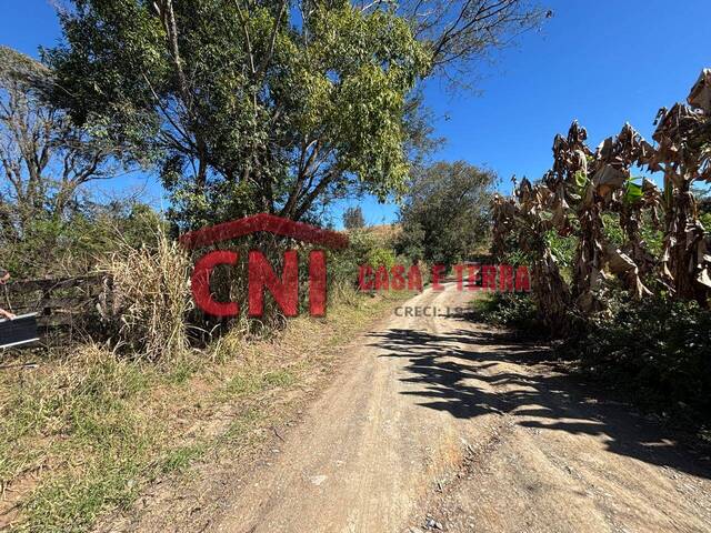 #3946 - Chácara para Venda em Quatiguá - PR - 3