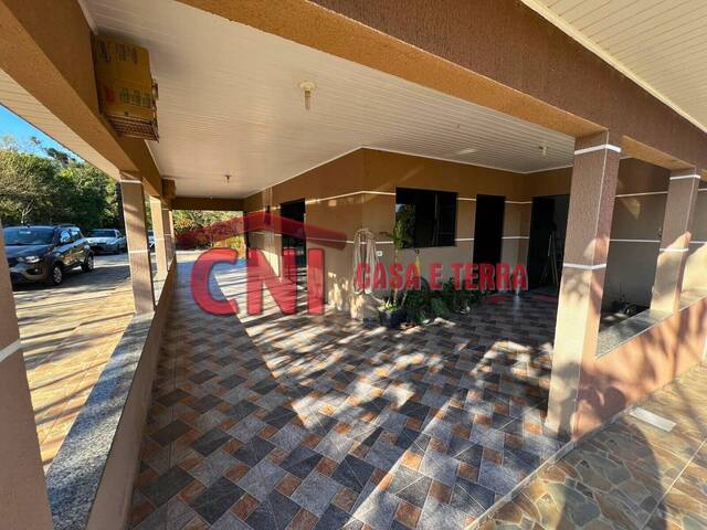 Chácara para Venda em Siqueira Campos - 4