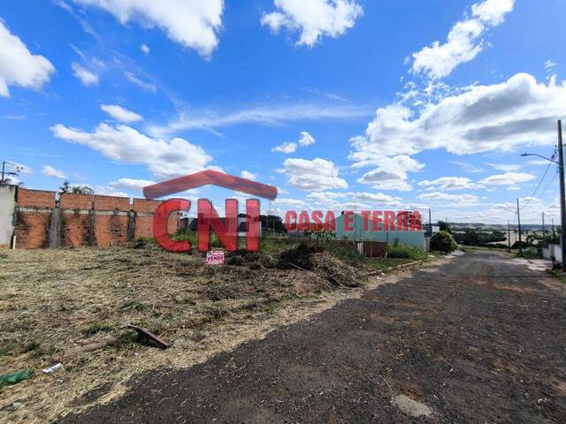#3950 - Terreno para Venda em Jaboti - PR - 3