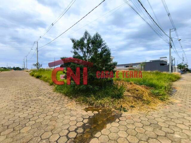 #3960 - Terreno para Venda em Siqueira Campos - PR - 2
