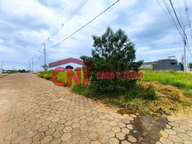 Terreno para Venda em Siqueira Campos - 4