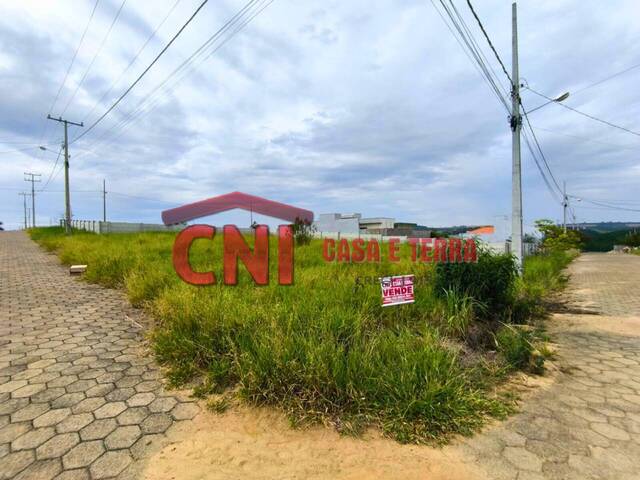 #3959 - Terreno para Venda em Siqueira Campos - PR - 2