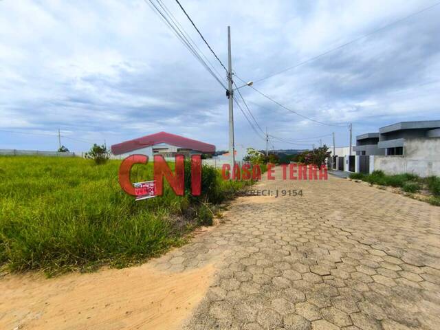 Terreno para Venda em Siqueira Campos - 4