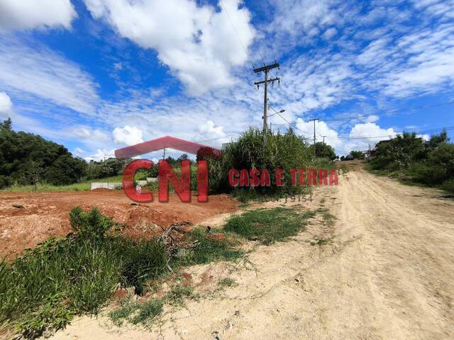 Terreno para Venda em Siqueira Campos - 3